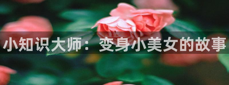 镇魂小说在线阅读